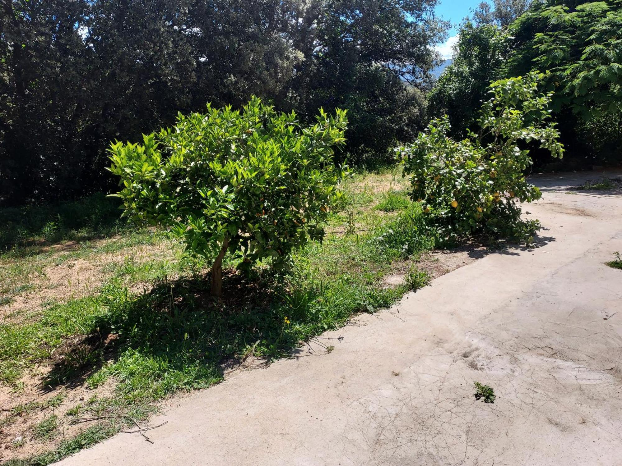 Veronique Acomodação com café da manhã Appietto Exterior foto